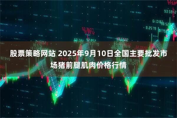股票策略网站 2025年9月10日全国主要批发市场猪前腿肌肉价格行情