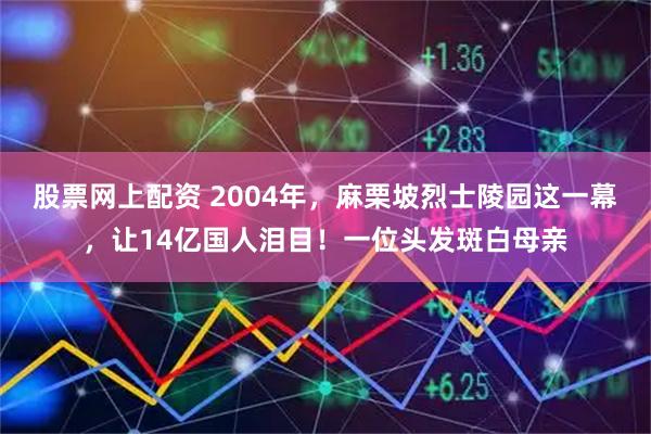 股票网上配资 2004年，麻栗坡烈士陵园这一幕，让14亿国人泪目！一位头发斑白母亲