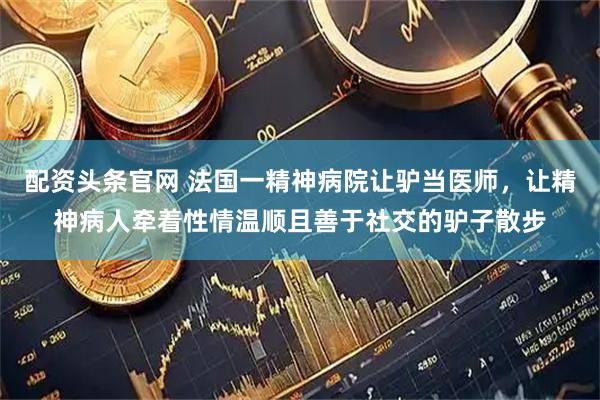 配资头条官网 法国一精神病院让驴当医师，让精神病人牵着性情温顺且善于社交的驴子散步