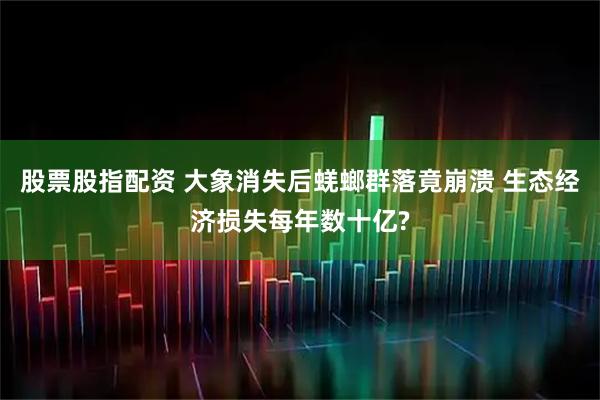 股票股指配资 大象消失后蜣螂群落竟崩溃 生态经济损失每年数十亿?
